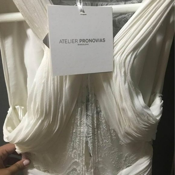 Pronovias Rimor Wedding Dress - Picture 6 of 10